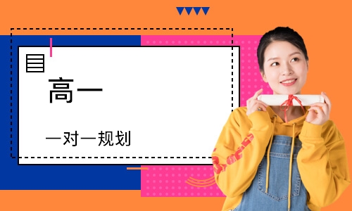 高一 一对一规划