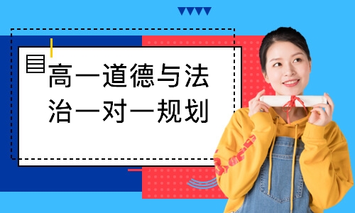 高一道德与法治一对一规划