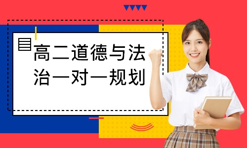 高二道德与法治一对一规划