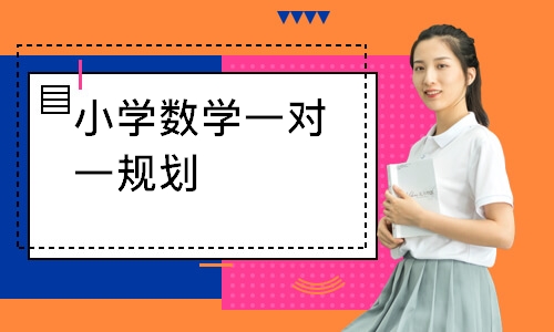 小学数学一对一规划
