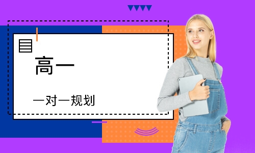 高一 一对一规划