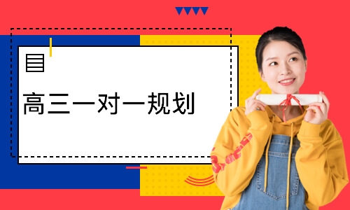 高三一对一规划