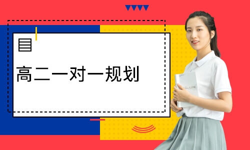 高二一对一规划