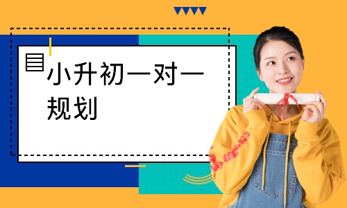 小升初一对一规划