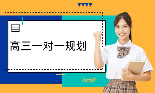 高三一对一规划