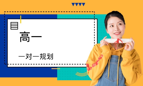 高一 一对一规划