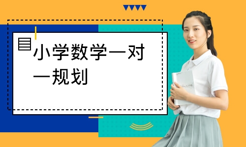 小学数学一对一规划