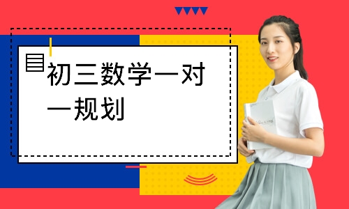 初三数学一对一规划