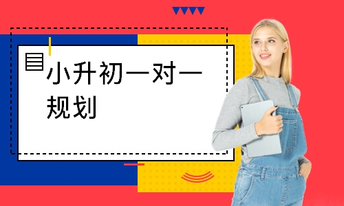 小升初一对一规划