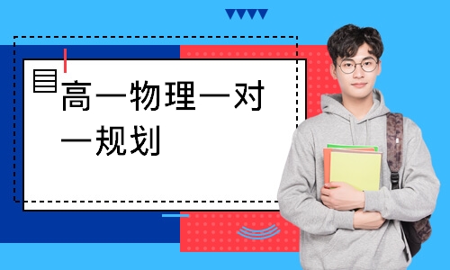 高一物理一对一规划