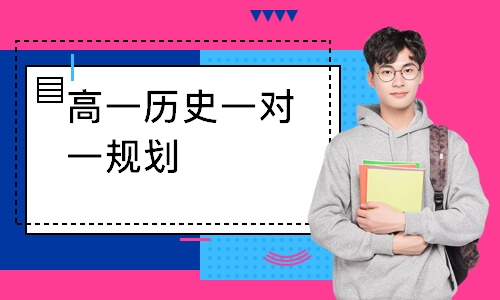 高一历史一对一规划
