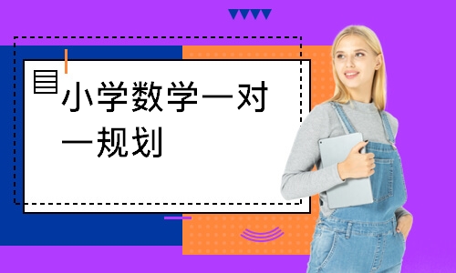 小学数学一对一规划