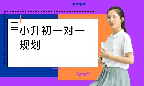 小升初一对一规划