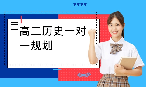 高二历史一对一规划
