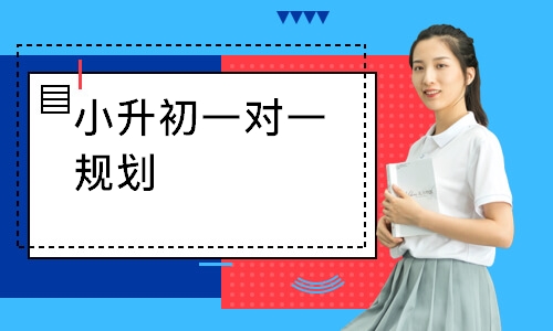小升初一对一规划