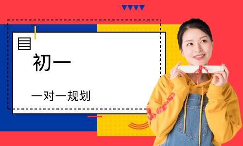 初一 一对一规划