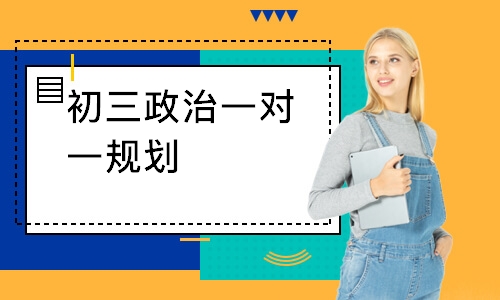 初三政治一对一规划
