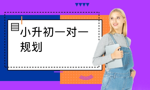 小升初一对一规划