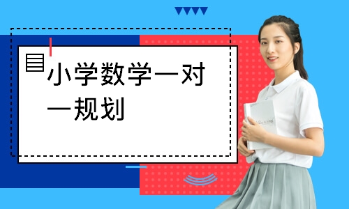 小学数学一对一规划