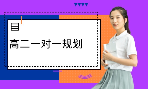 高二一对一规划