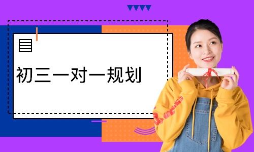 初三一对一规划