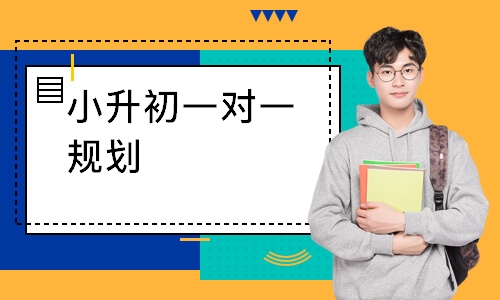 小升初一对一规划