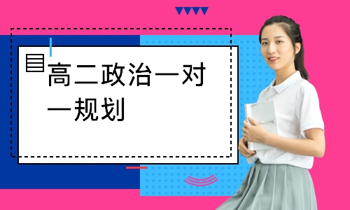 高二政治一对一规划