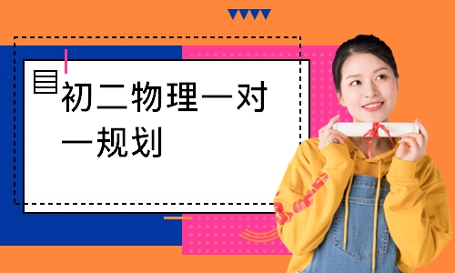 初二物理一对一规划