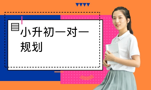 小升初一对一规划