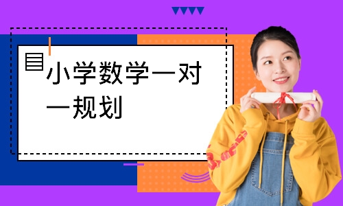 小学数学一对一规划