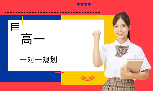 高一 一对一规划