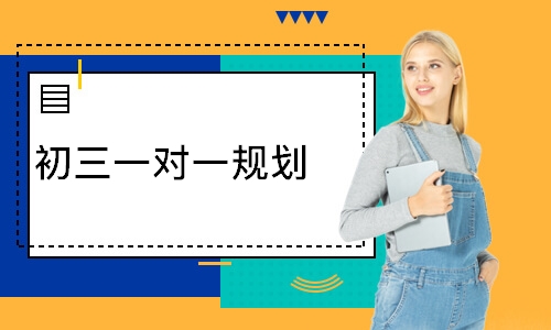 初三一对一规划