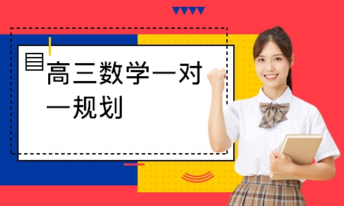 高三数学一对一规划