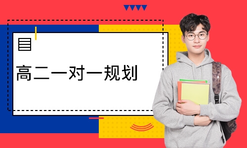 高二一对一规划