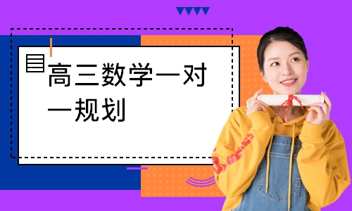 高三数学一对一规划