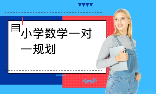 小学数学一对一规划
