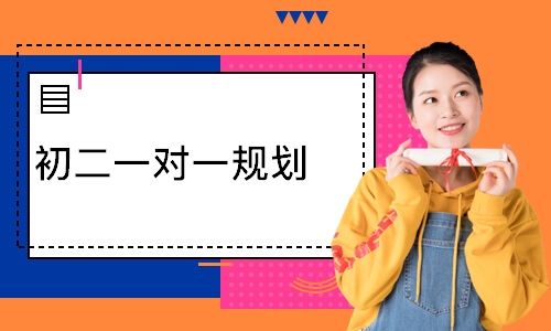 初二一对一规划