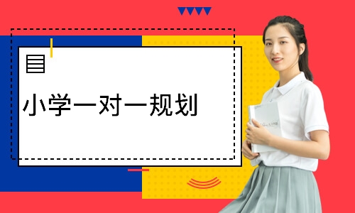 小学一对一规划