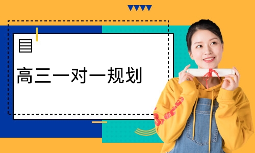 高三一对一规划