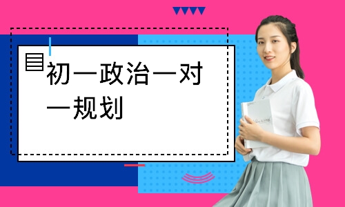 初一政治一对一规划