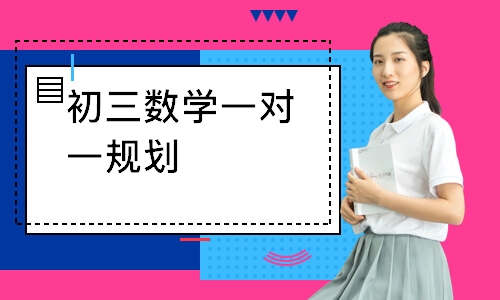 初三数学一对一规划
