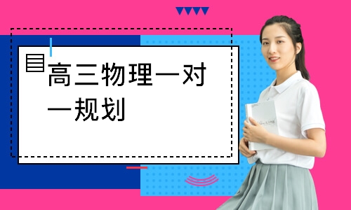高三物理一对一规划