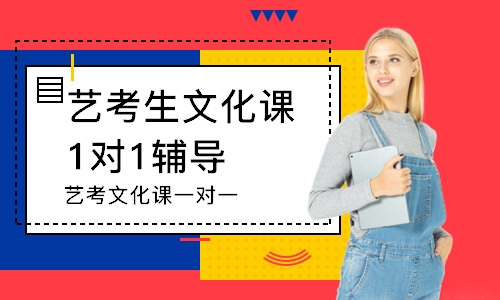 沈阳艺考生文化课1对1辅导