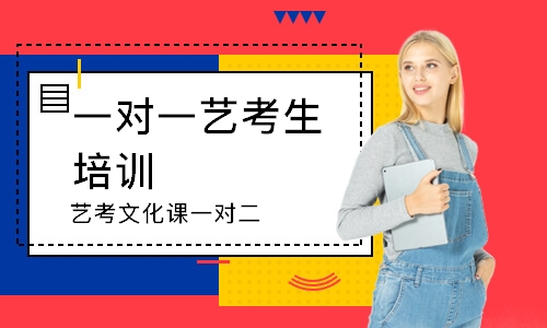 艺考文化课一对二