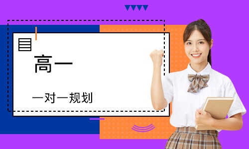 高一 一对一规划