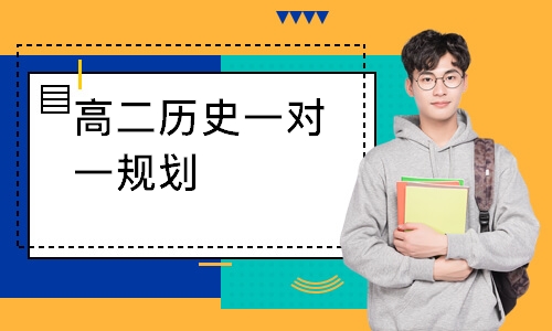 高二历史一对一规划