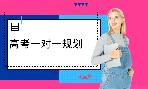高考一对一规划