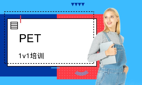 广州PET 1v1培训