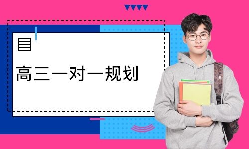 高三一对一规划