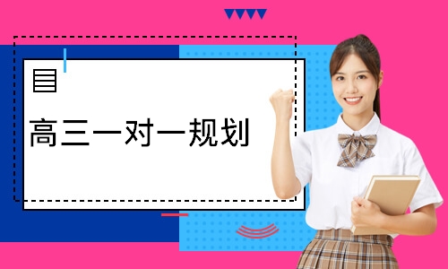高三一对一规划